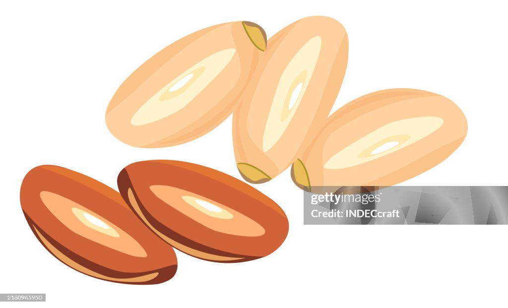 Pine nut