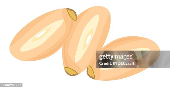 Pine nut Pine nut