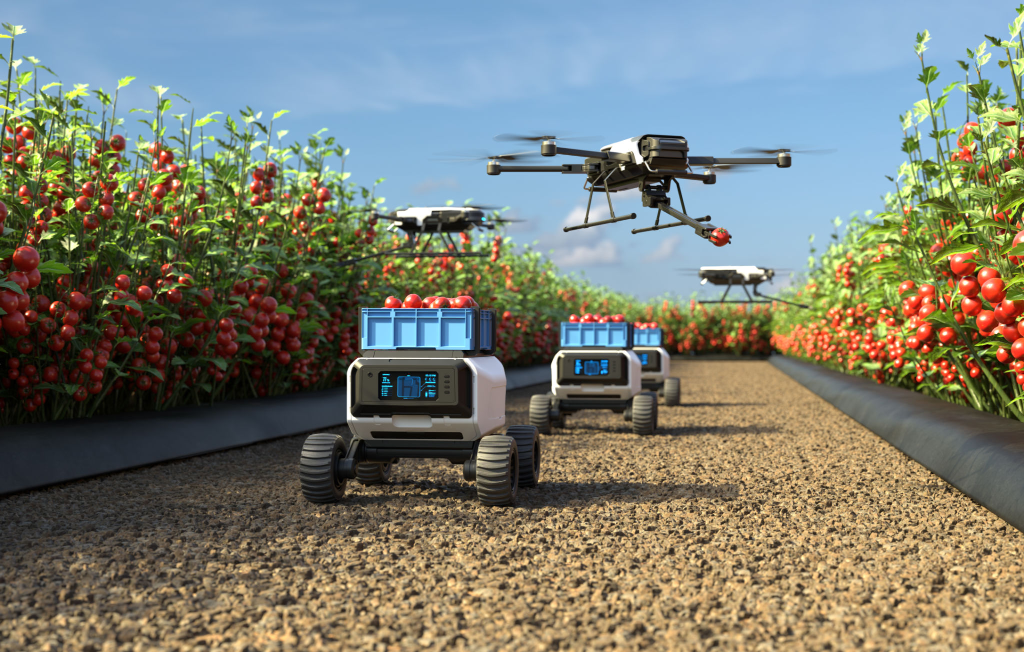 robot drone comparison