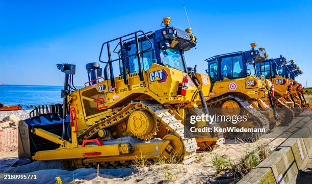 six cats on the beach - pop stockfoto's en -beelden