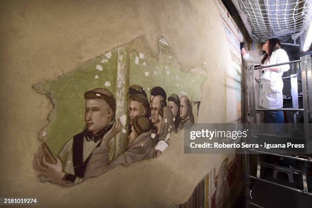 Restorers at work on the italian artist Giotto di Bondone frescos of the Life of San Francesco cycle at Bardi Chapel at Basilica di Santa Croce on...