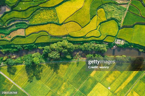 vista aérea de la hermosa ruralidad en china - arroz comida básica fotografías e imágenes de stock
