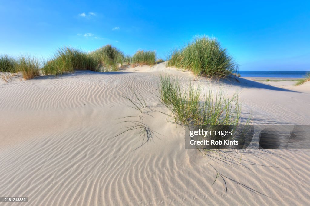 Dune landscape in nature reserve Kwade Hoek near Ouddorp and Stellendam