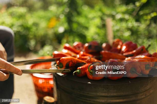 asar pimientos rojos - pimiento rojo asado fotografías e imágenes de stock