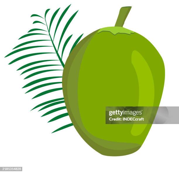 coconut - coconut milk isolated stock illustrations