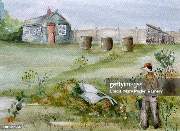 man feeding his geese on the allotment - english man stock illustrations