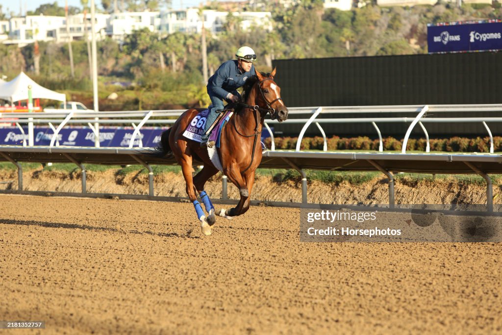 2024 Breeders' Cup World Championship Previews
