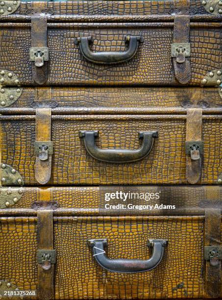 matched set of alligator skin luggage - reptile leather stock pictures, royalty-free photos & images