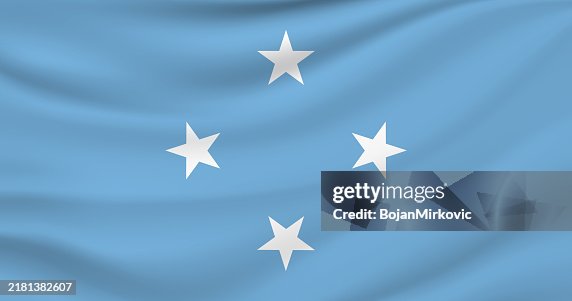 Micronesia flag. Vector Micronesia flag. Vector