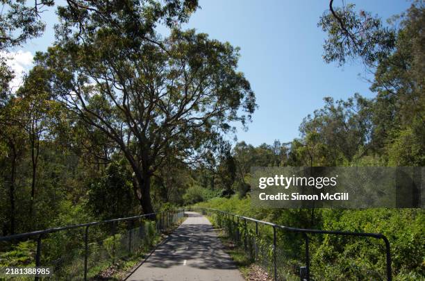 Fern Ridge Cycle Path 22 Fernleigh Stock Photos, High-Res Pictures, and Images - Getty Images