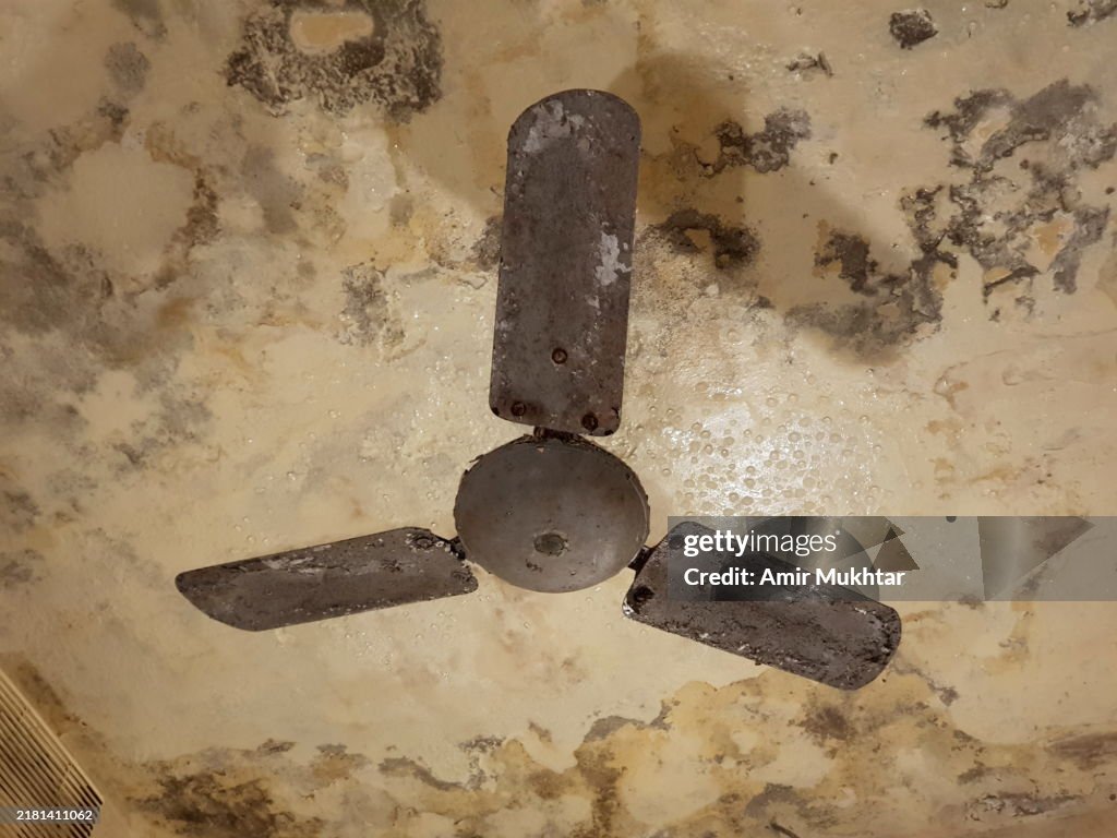 Domestic room ceiling and walls need repairing after water leakage causing rust, fungus and peeling off paint from walls and ceiling fan.