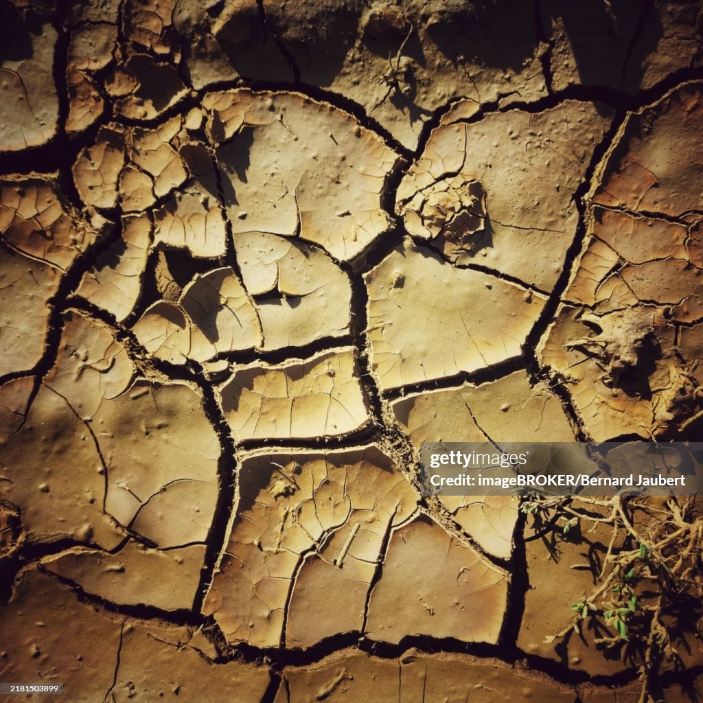 Ground cracks due to drought