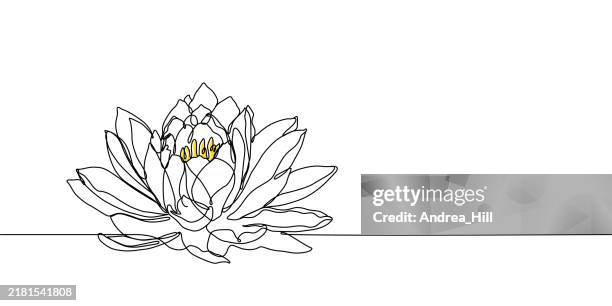lotus flower continuous line drawing style with copy space and an editable stroke - lotus flower outline stock illustrations
