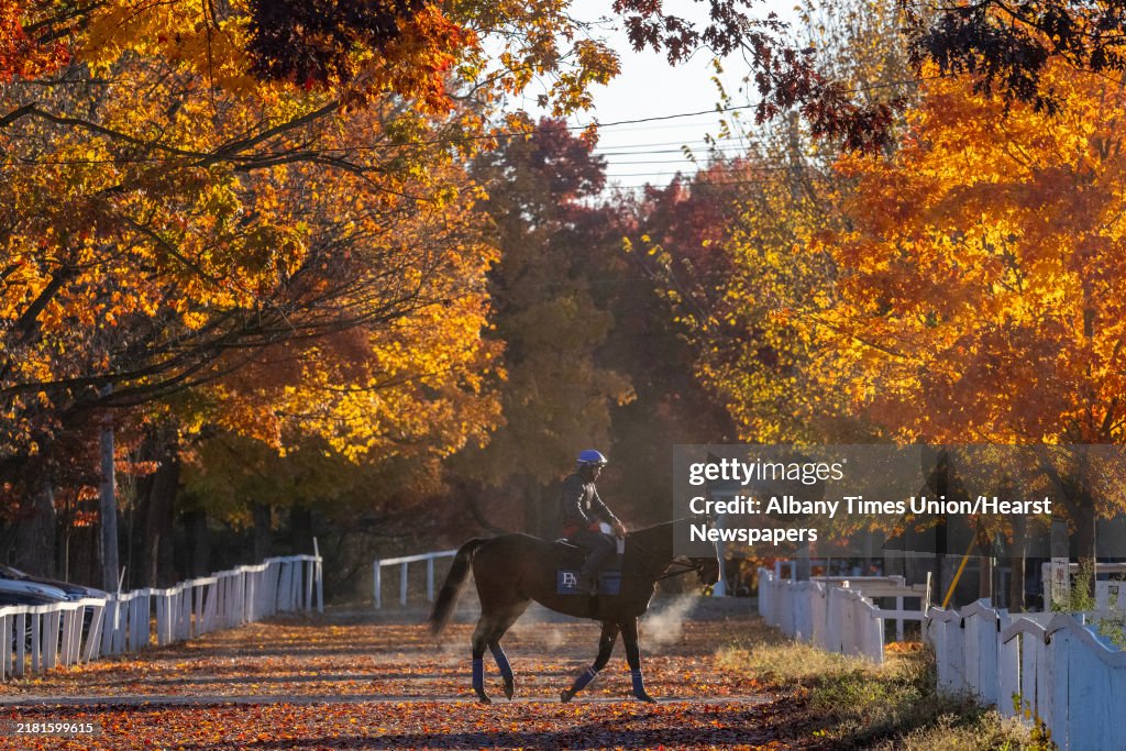 Getty Racing Fall Images The fall colors are ablaze as a horse leaves the track after training ...