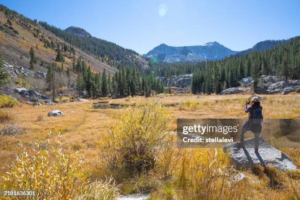 woman hiking and taking photos in inyo national forest in autumn - bishop california stock pictures, royalty-free photos & images
