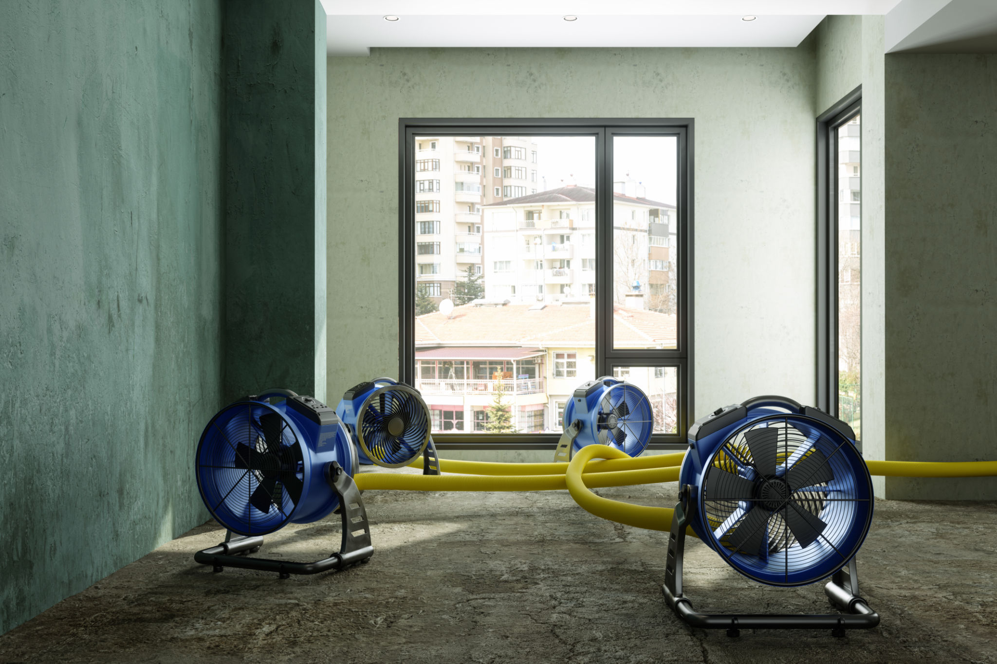 mold restoration