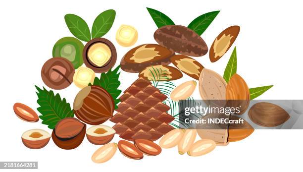 nuts - walnut shell stock illustrations