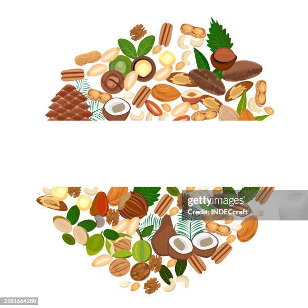 nuts - macadamia nut stock illustrations