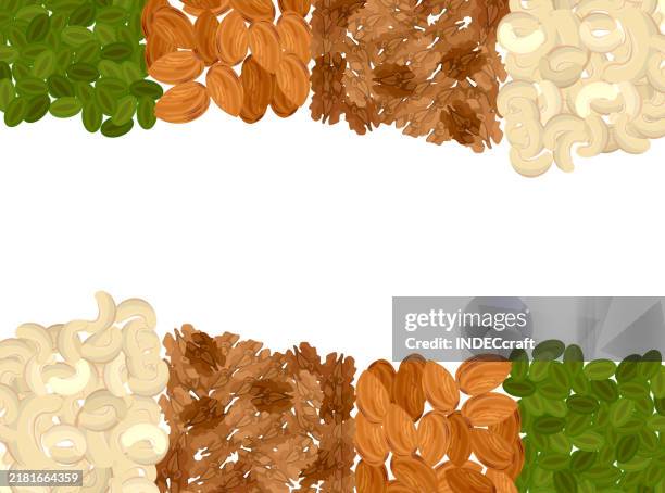nuts - macadamia nut stock illustrations