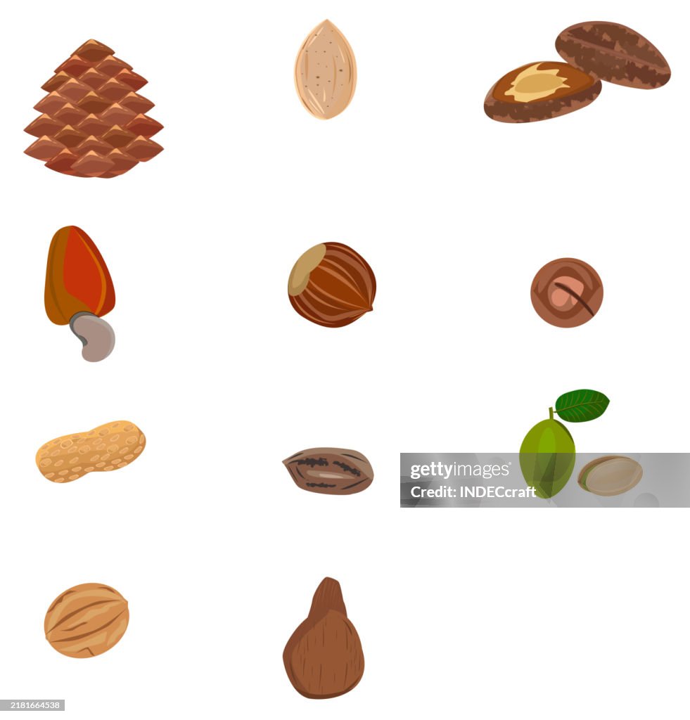 Set Of Nutshell High-Res Vector Graphic - Getty Images