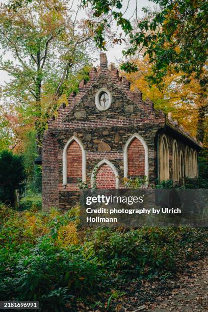 wörlitz park, garden kingdom of wörlitz-dessau, saxony-anhalt, germany - englischer garten stock-fotos und bilder