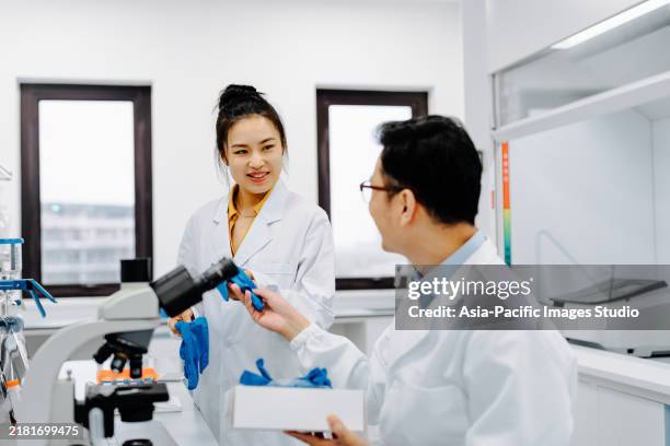 science research laboratory: one chinese male scientist passed protective gloves to the female scientist before working in modern laboratory. - histologia imagens e fotografias de stock