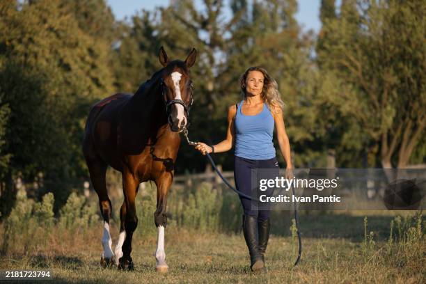 female animal trainer taking a horse for a walk on the farm. - lead stock pictures, royalty-free photos & images