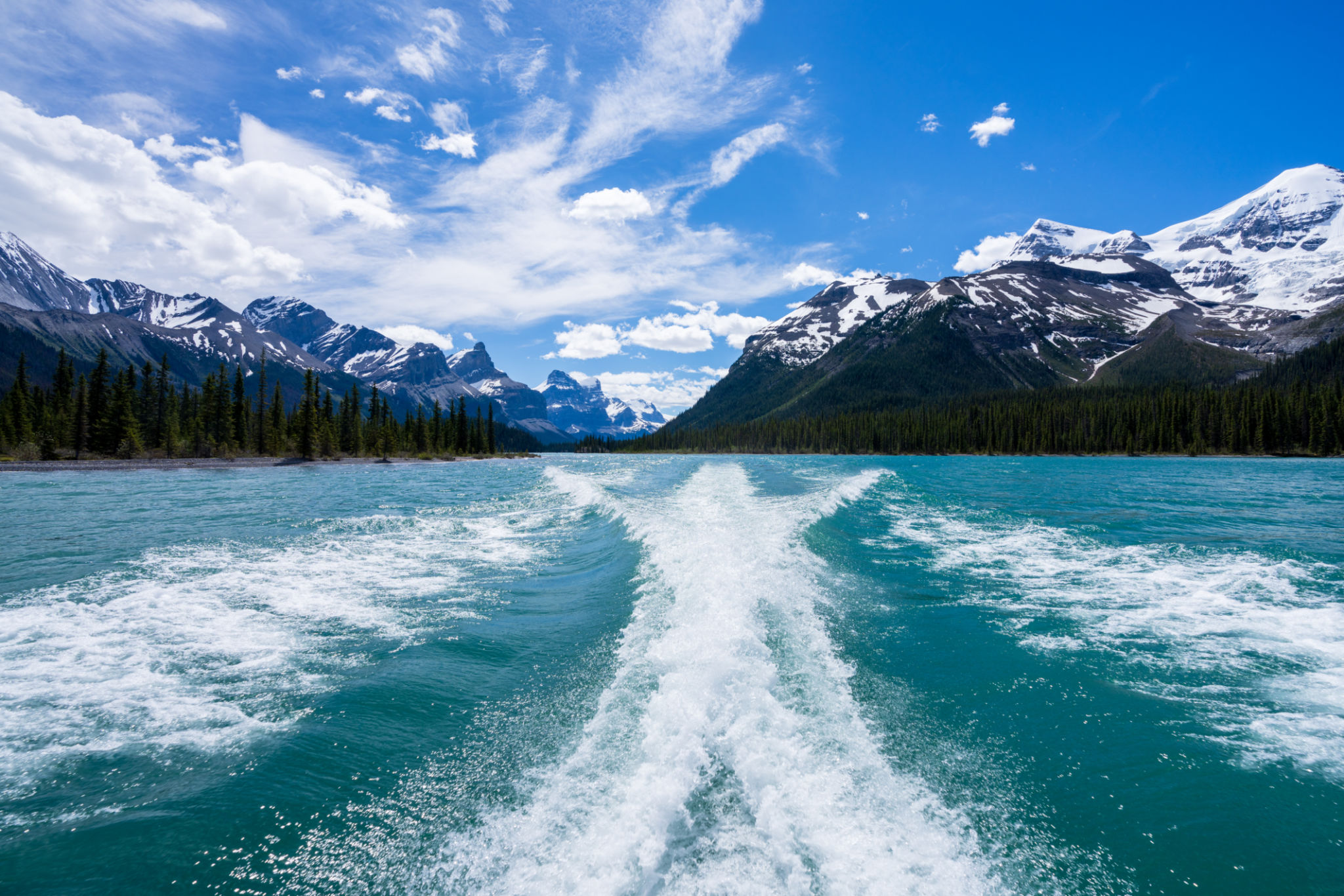 eco-friendly cruise