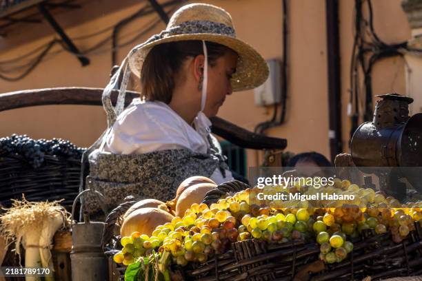 parade of chariots at the grape harvest festival in toro, zamora, spain. - vendimia fotografías e imágenes de stock