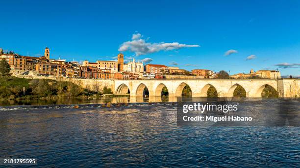 panoramic view of the historic and monumental city, and medieval bridge, on the banks of the duero river, tordesillas, valladolid, castilla y león, - ponte em arco imagens e fotografias de stock