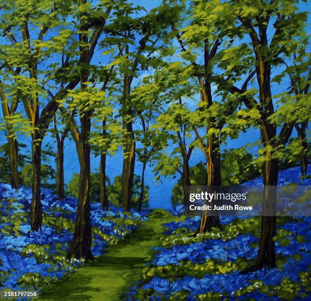 bluebells in springtime - beech tree stock illustrations