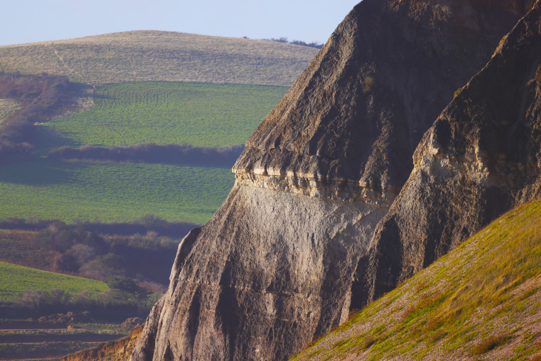 jurassic coast conservation
