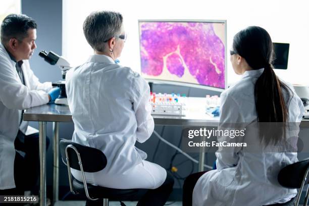 working together - microscope slide stock pictures, royalty-free photos & images