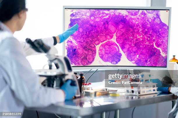 working together - microscope stock pictures, royalty-free photos & images