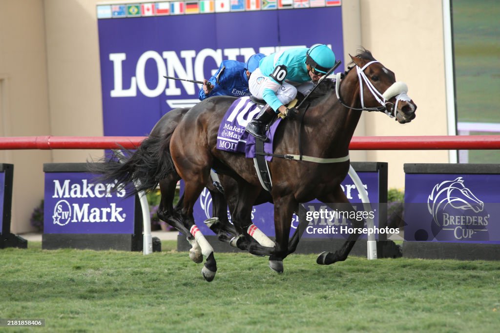 2024 Breeders' Cup World Championship