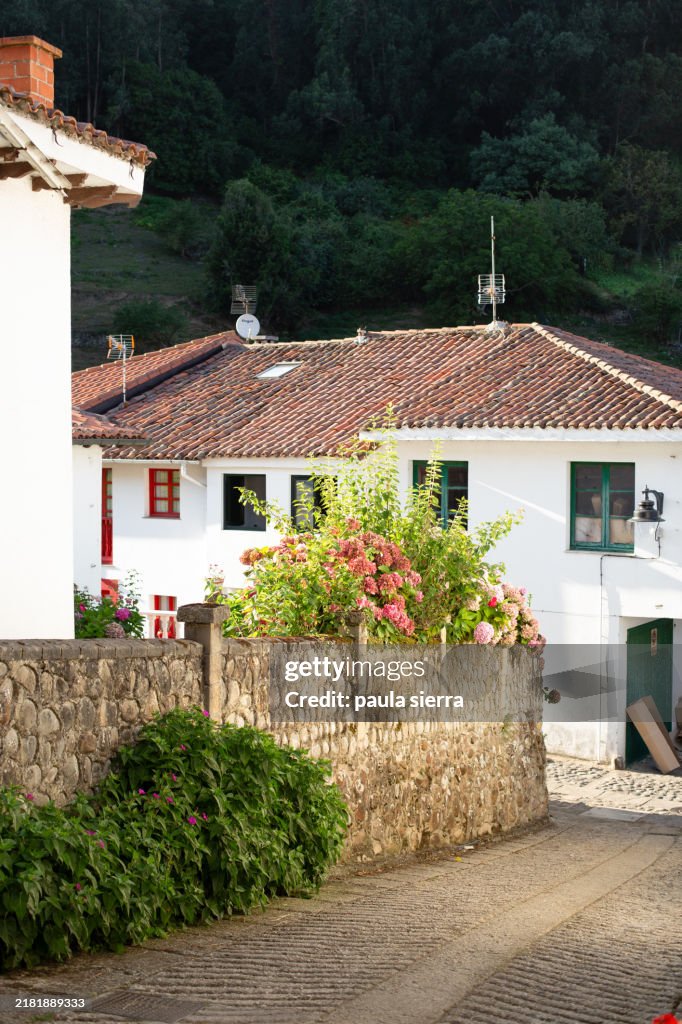 Colorful houses in a beautiful village