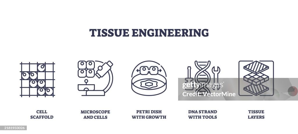 Tissue Scaffloding Tissue Engineering Involves Cell Scaffolds Microscopes And Dna Strands ...