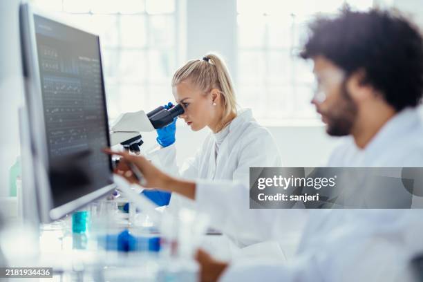 diverse lab colleagues analyzing samples - ciência imagens e fotografias de stock