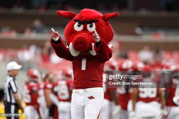Arkansas Razorbacks mascot "Tusk" during the college football game between the Mississippi Rebels and Arkansas Razorbacks on November 2 at Donald W....