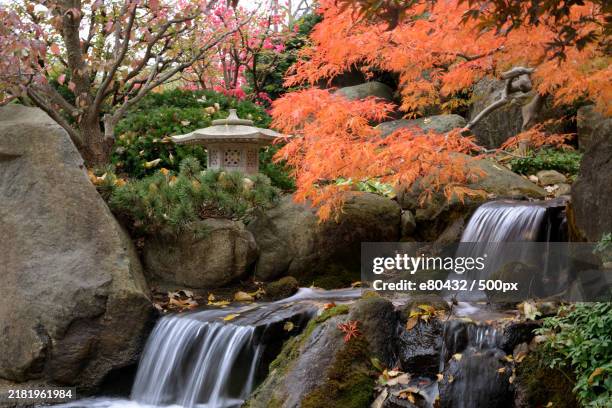 scenic view of waterfall in forest during autumn,rockford,illinois,united states,usa - rockford stock pictures, royalty-free photos & images