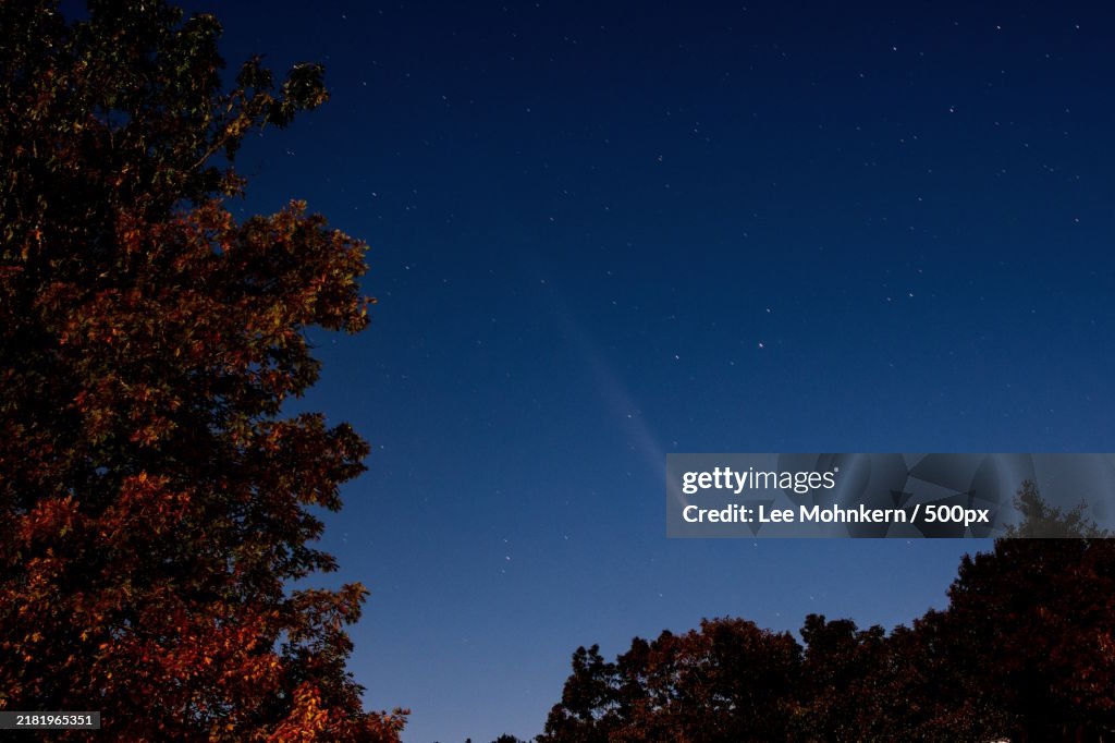 Low angle view of trees against blue sky,New Hampshire,United States,USA
