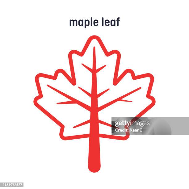 maple leaf icon. canadian symbol. vector illustration. stock illustration - red maple leaf stock illustrations