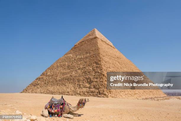 the pyramid of khafre, giza, egypt. - pyramiden von gizeh stock-fotos und bilder