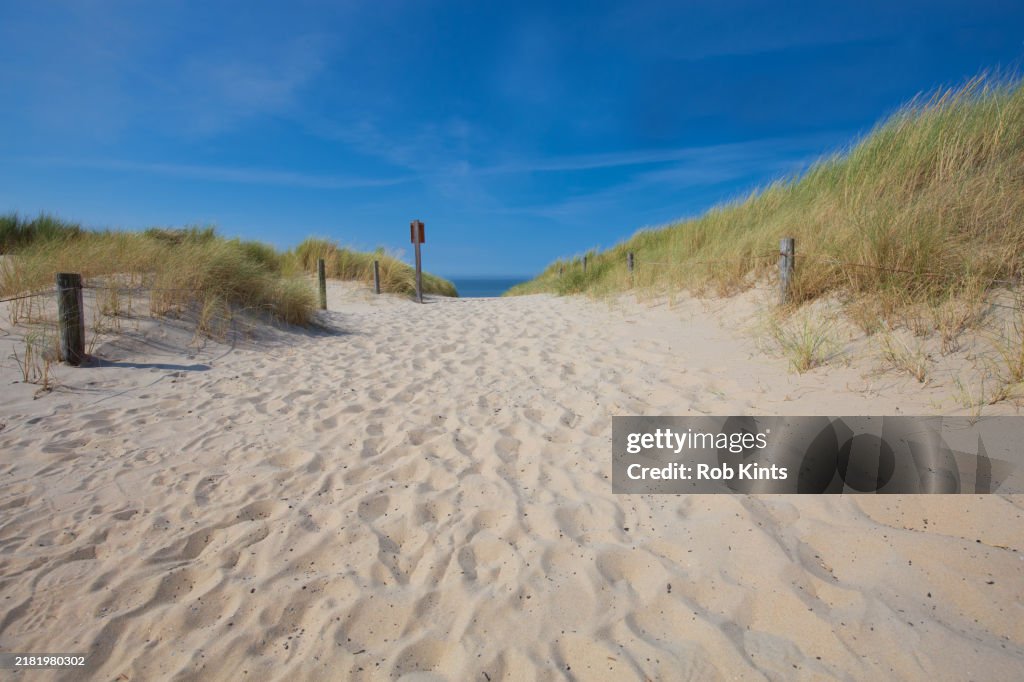 Footpath through the dunes of Texel with Wadden Sea ( Waddenzee ) in background