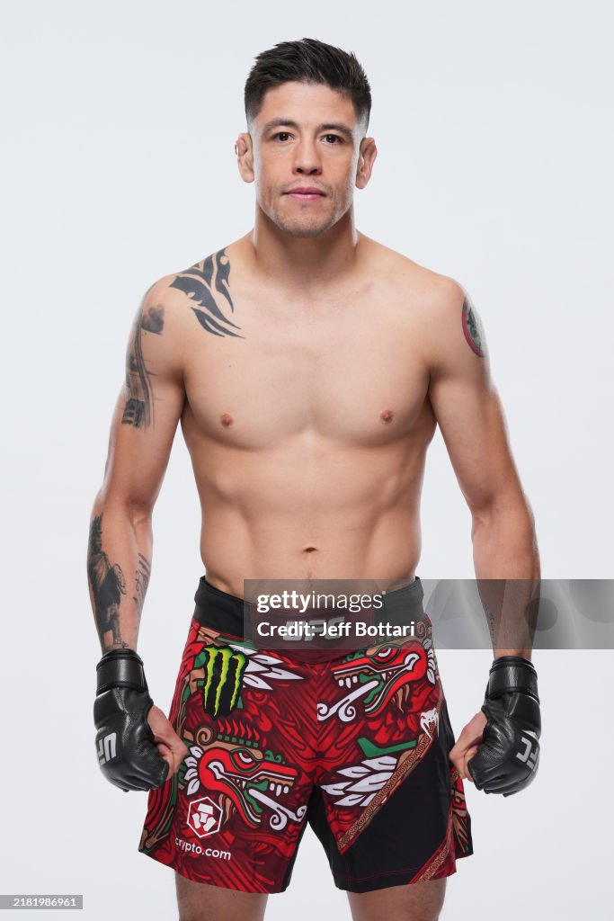 UFC Fighter Portraits