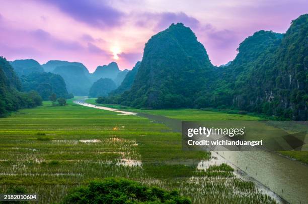 rice field and river in ninhbinh, vietnam - north vietnam stock pictures, royalty-free photos & images