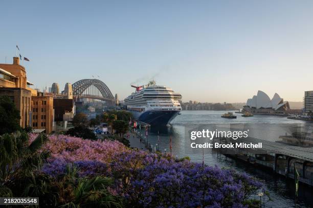 Sunrise over blooming Jacaranda trees in Circular Quay on October 31, 2024 in Sydney, Australia. Jacarandas, which are not native to Australia, bloom...