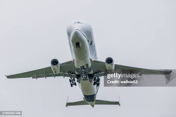 underside of an airbus belugaxl a330-743l - airbus a330 stock pictures, royalty-free photos & images