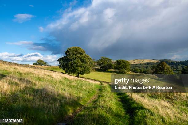 idyllic countryside at windermere, lake district, cumbria. - september stock pictures, royalty-free photos & images