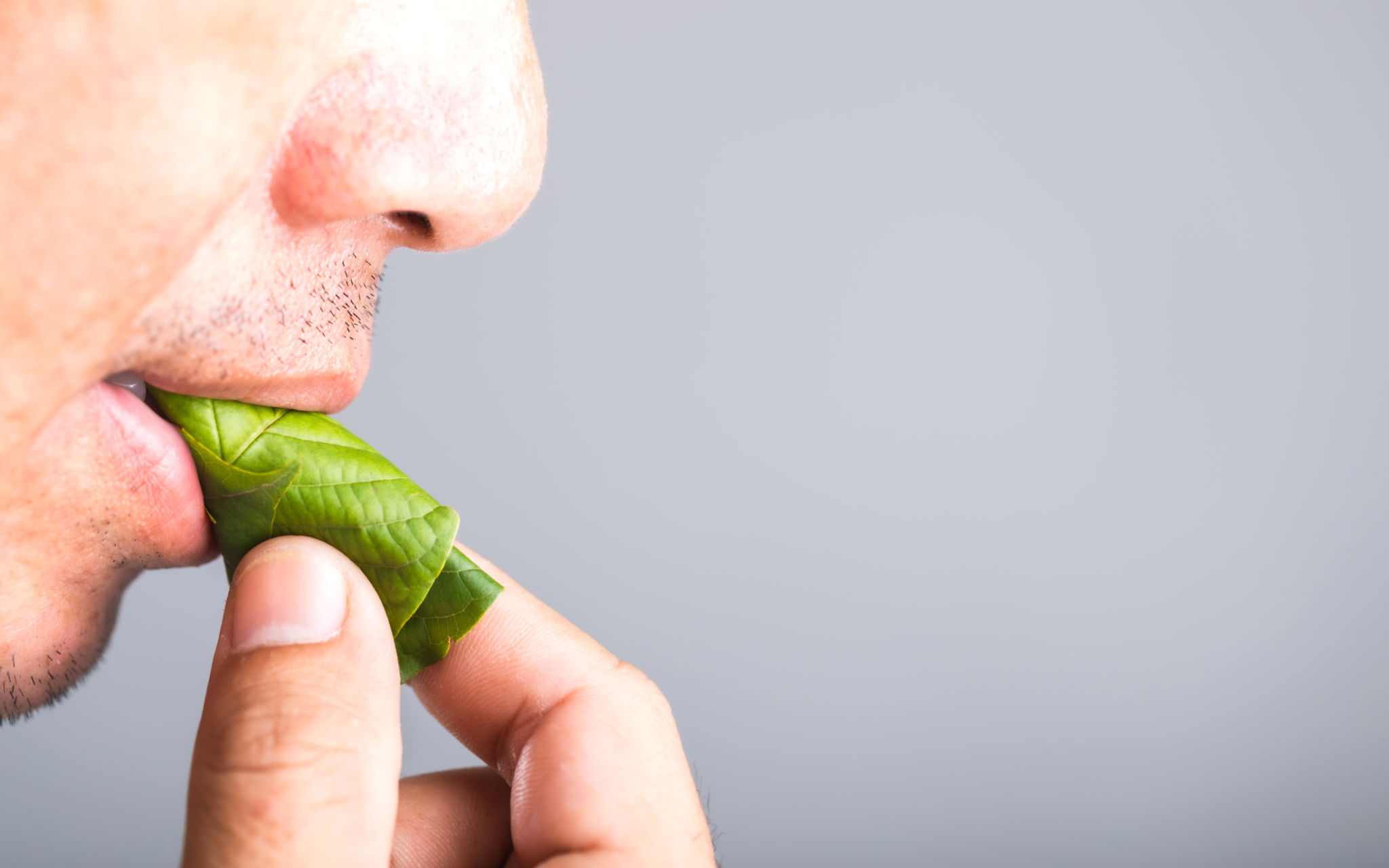 safe herbal usage